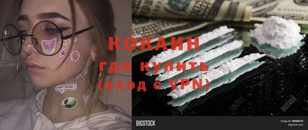 стаф Баксан