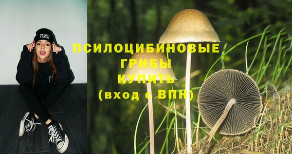 стаф Баксан
