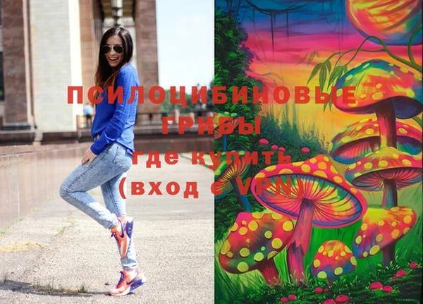 дживик Армянск