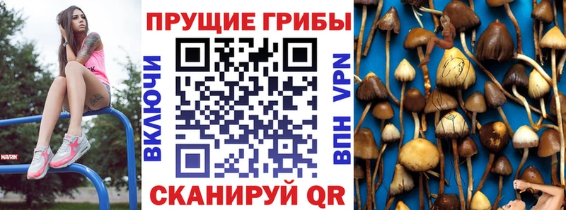 Псилоцибиновые грибы GOLDEN TEACHER hydra вход Валуйки