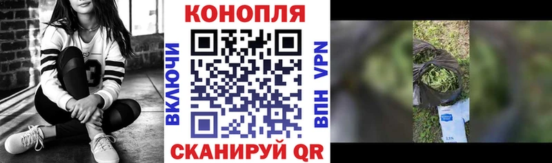Шишки марихуана семена KRAKEN ссылки Валуйки